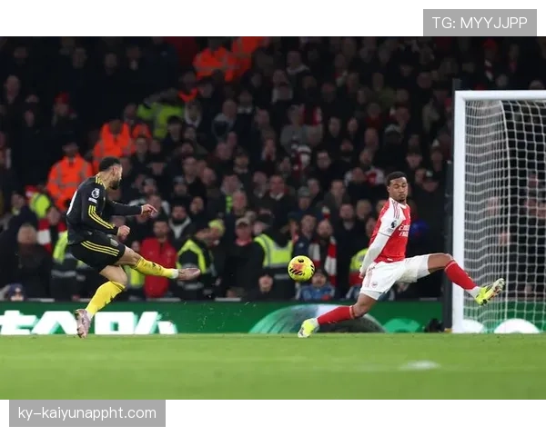 B费与厄德高：体系核心角色的功能定位与作用机制差异