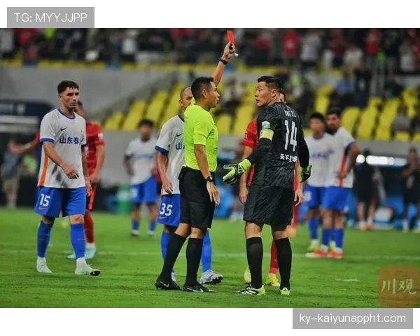 严重犯规的判罚标准：什么动作会被直接红牌罚下？