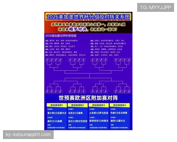 2026世界杯官方顺位规则详解